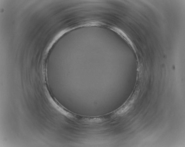 X0000079320851200612081932