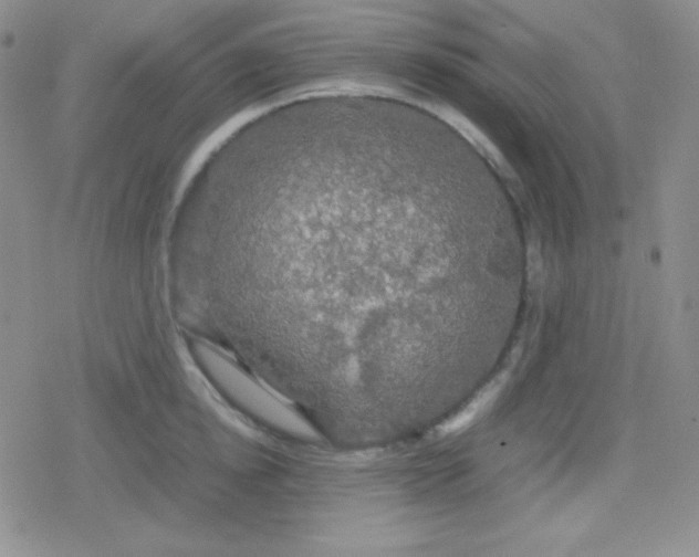 X0000079320854200612081932