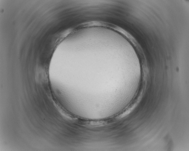 X0000079320857200612081932