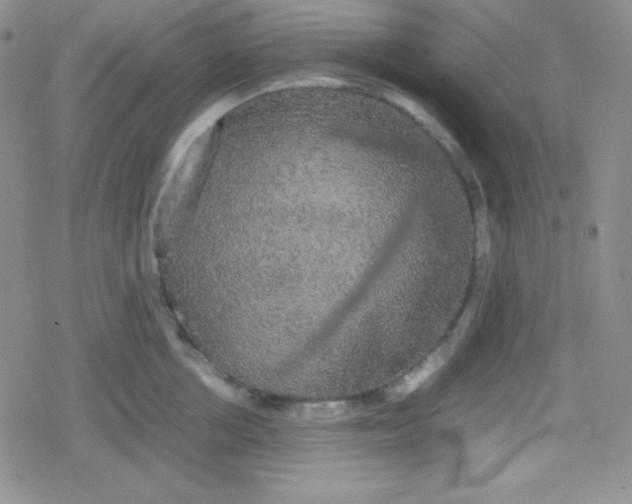 X0000079320858200612081932