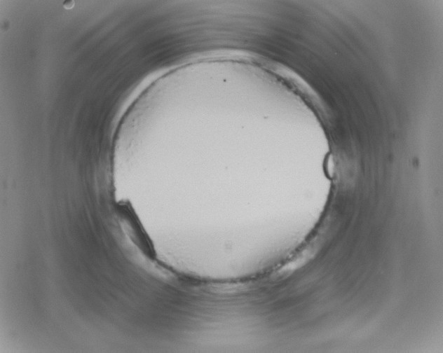 X0000079320860200612081932