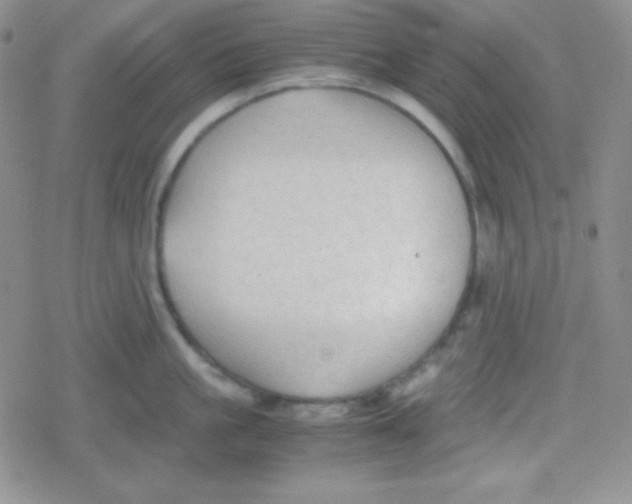 X0000079320861200612081932