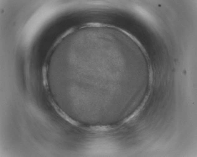 X0000079320862200612081932