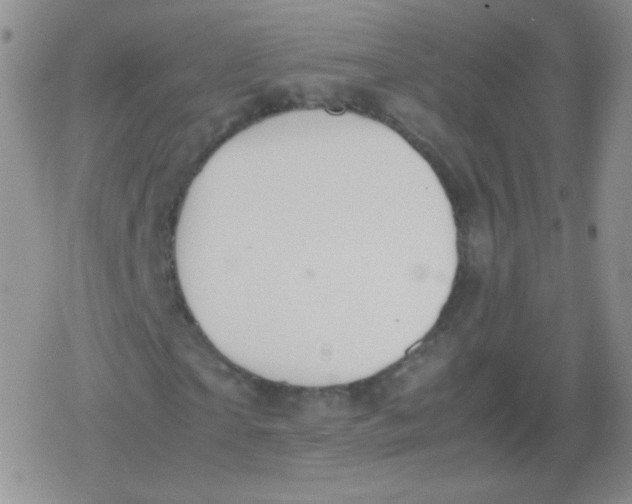 X0000079320865200612081932