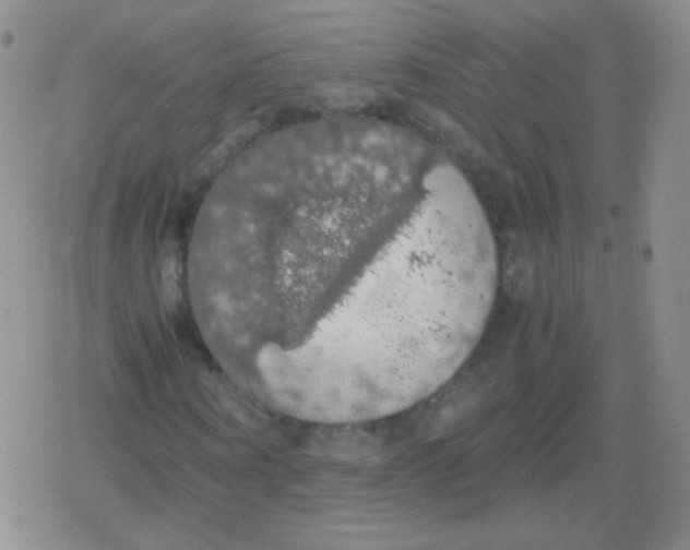 X0000079320866200612081932