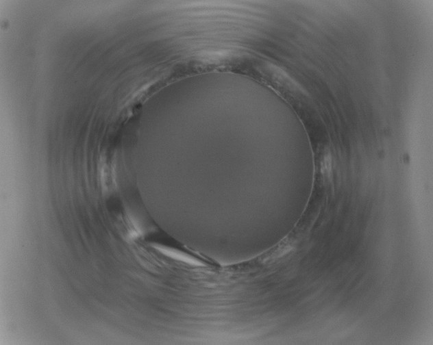 X0000079320868200612081932