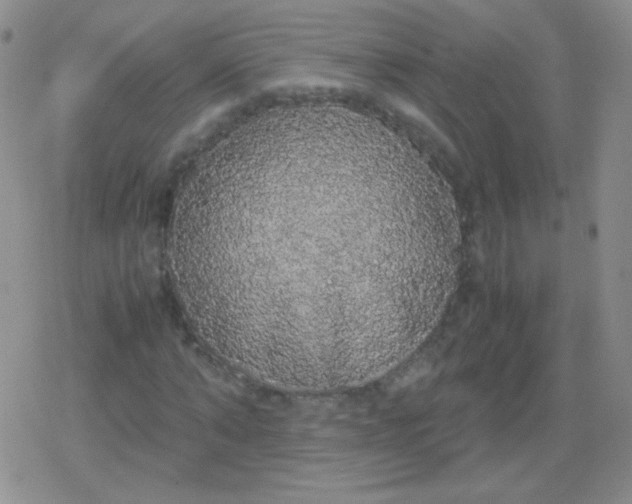 X0000079320870200612081932