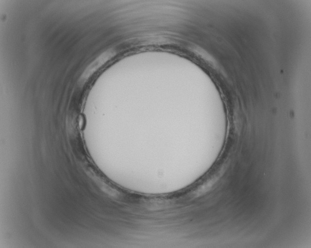 X0000079320873200612081931