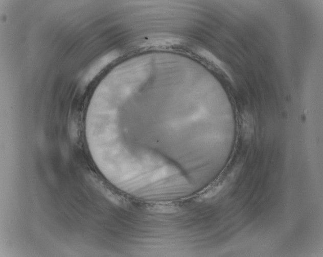 X0000079320874200612081931