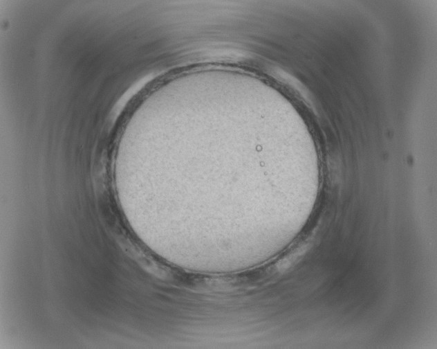 X0000079320875200612081931