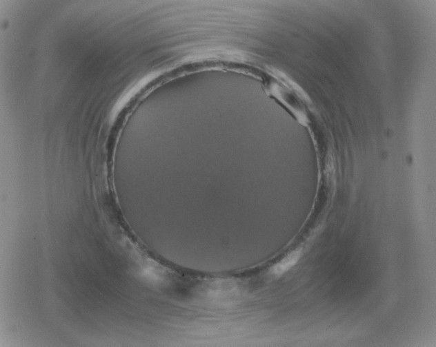 X0000079320877200612081931