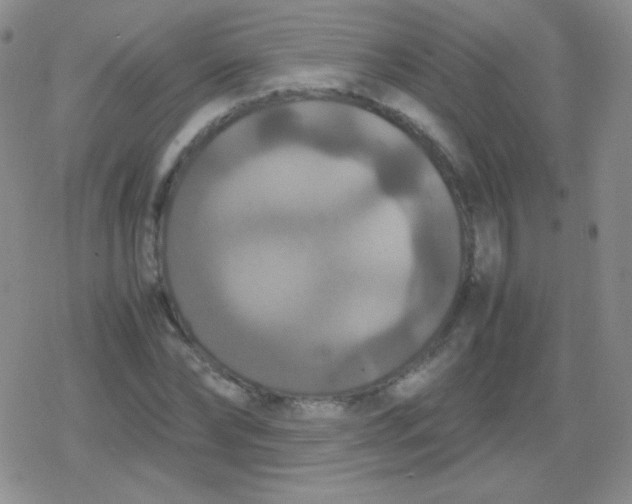 X0000079320878200612081931