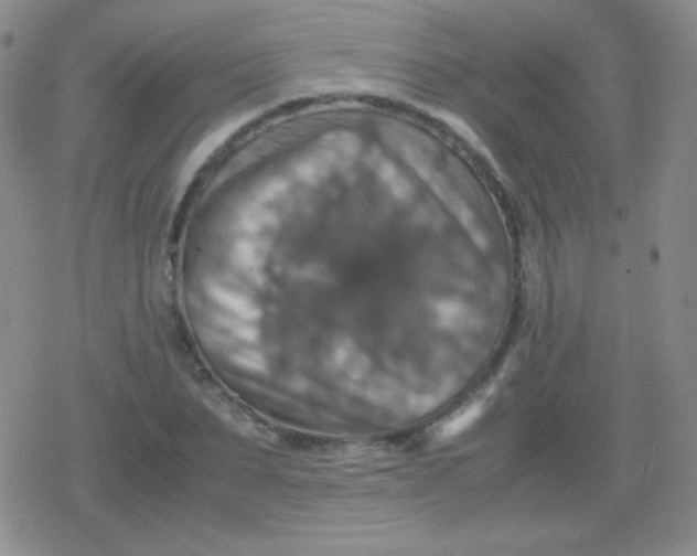 X0000079320879200612081931