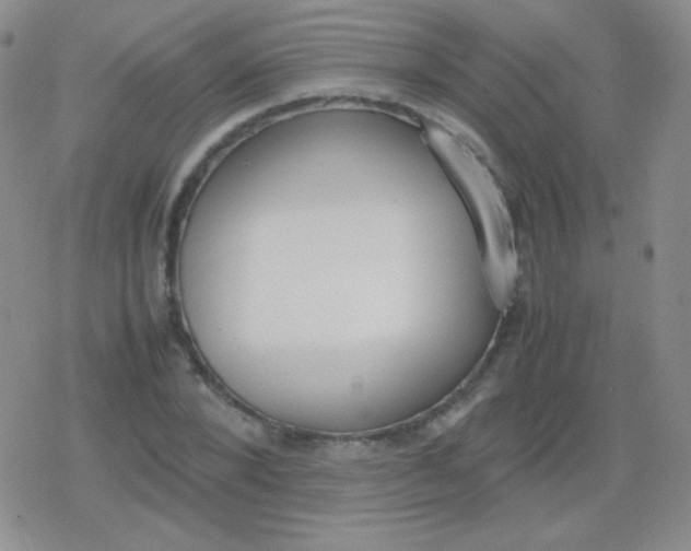 X0000079320880200612081931