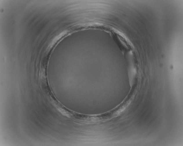 X0000079320881200612081931