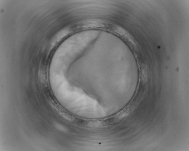 X0000079320882200612081931