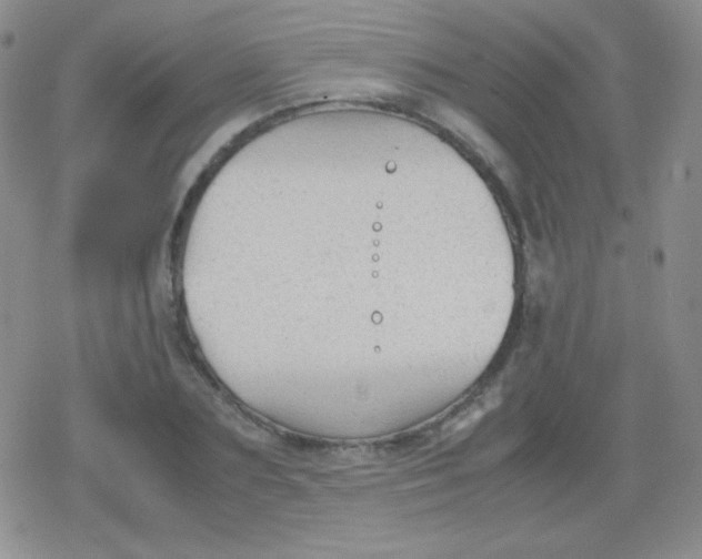 X0000079320883200612081931