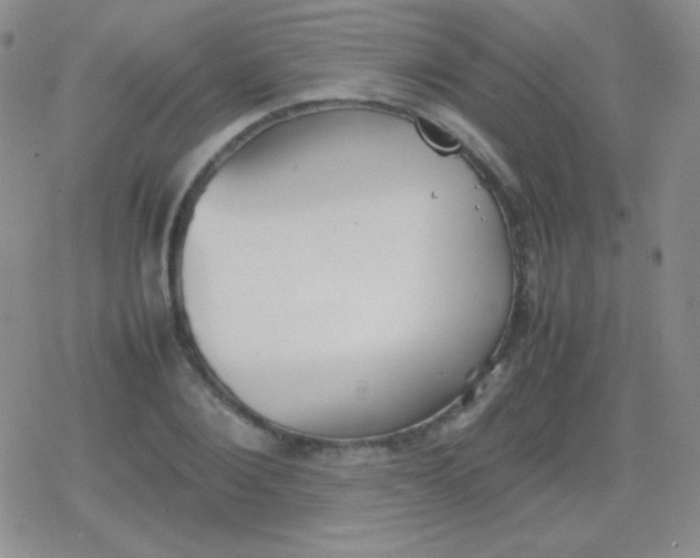 X0000079320884200612081931