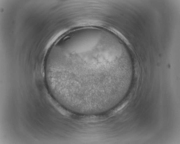 X0000079320885200612081931