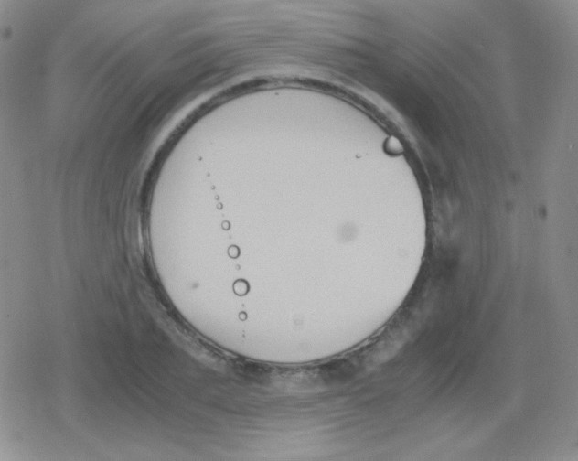 X0000079320887200612081931