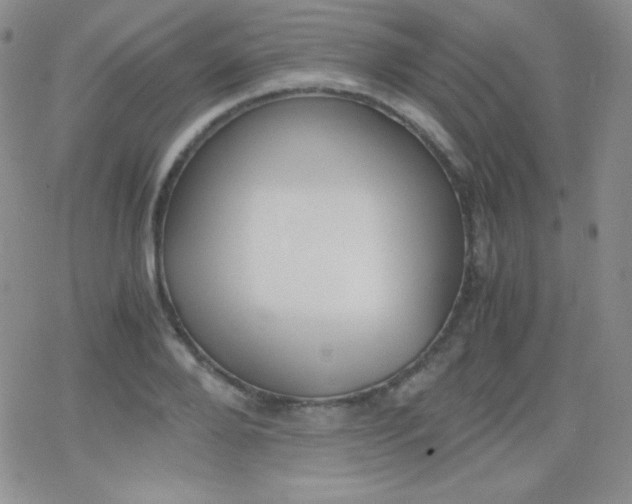 X0000079320888200612081931