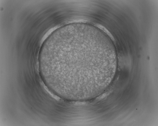 X0000079320890200612081931