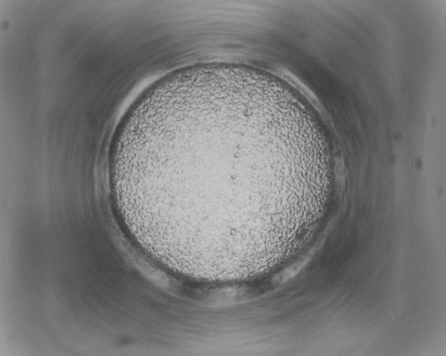 X0000079320891200612081931