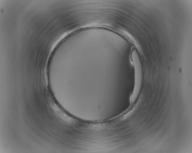 X0000079320892200612081931