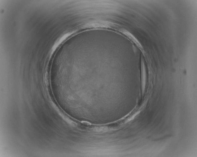 X0000079320893200612081931