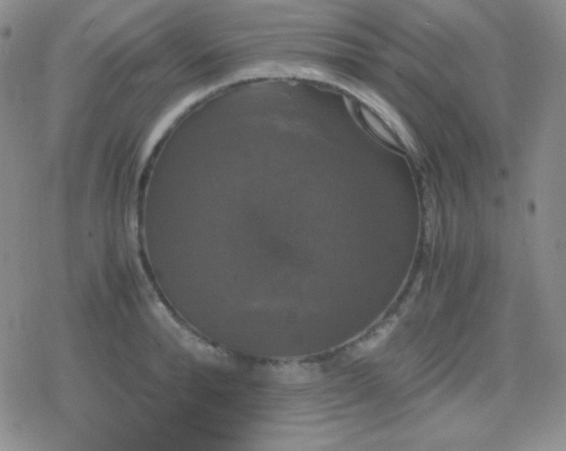 X0000079320896200612081931