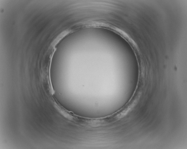 X0000079320897200612081931