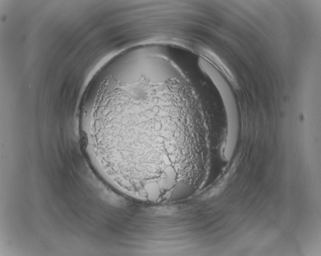 X0000079320900200612081931