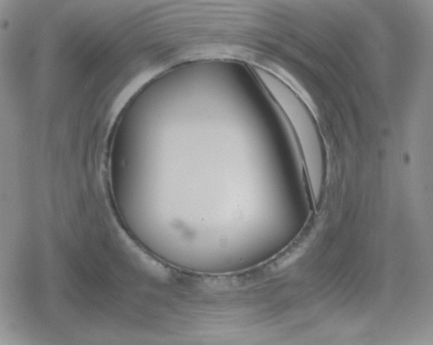 X0000079320901200612081931