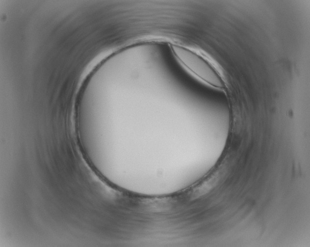 X0000079320902200612081931