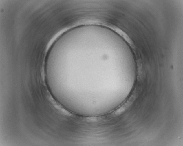 X0000079320904200612081931