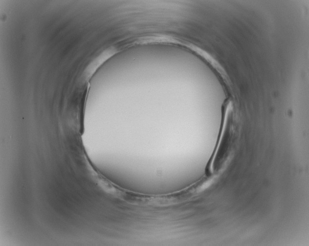 X0000079320905200612081931