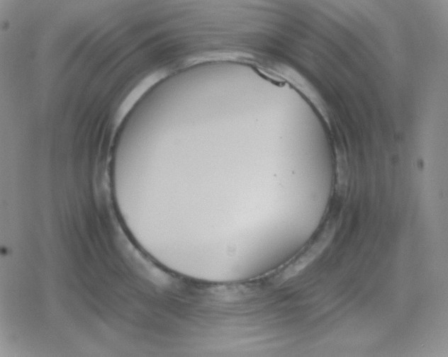 X0000079320906200612081931