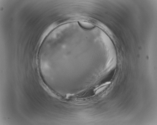 X0000079320907200612081931