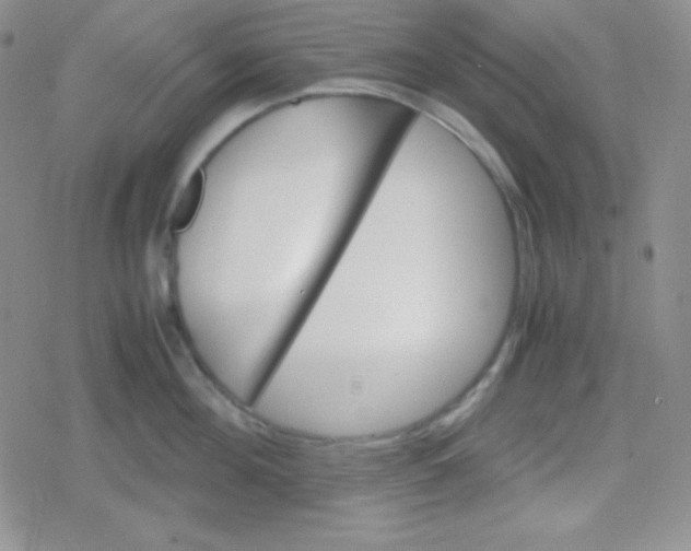 X0000079320908200612081931