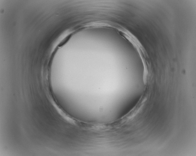 X0000079320909200612081931