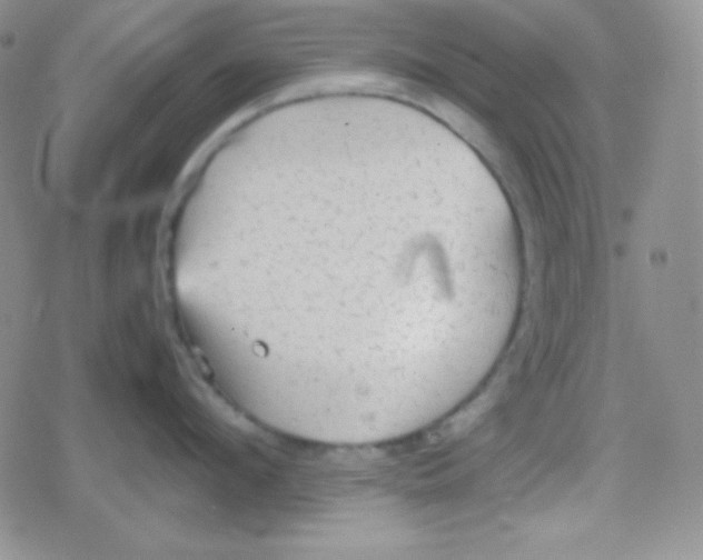 X0000079320912200612081931