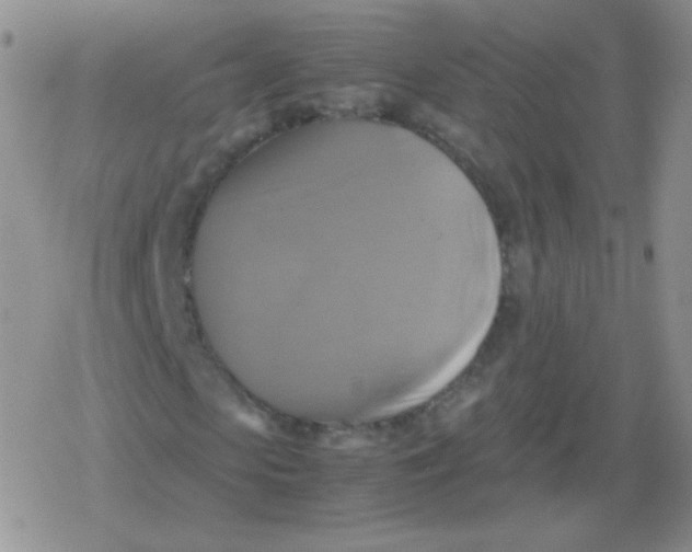 X0000079320913200612081930