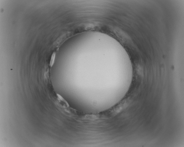 X0000079320914200612081930