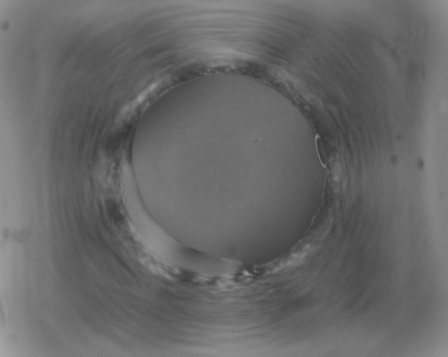 X0000079320916200612081930