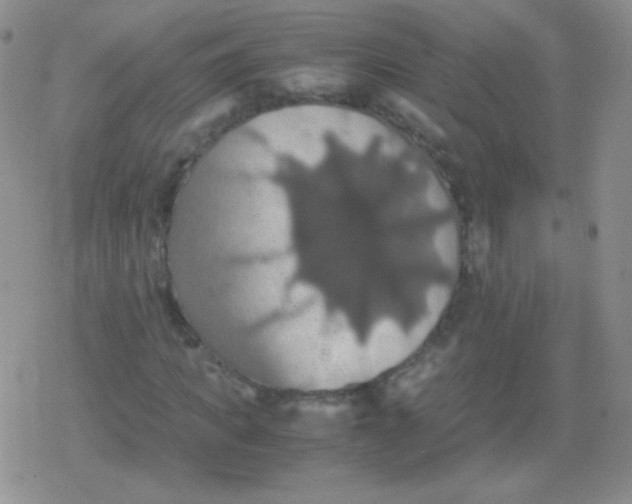 X0000079320917200612081930