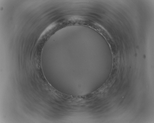 X0000079320919200612081930