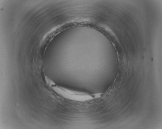 X0000079320920200612081930