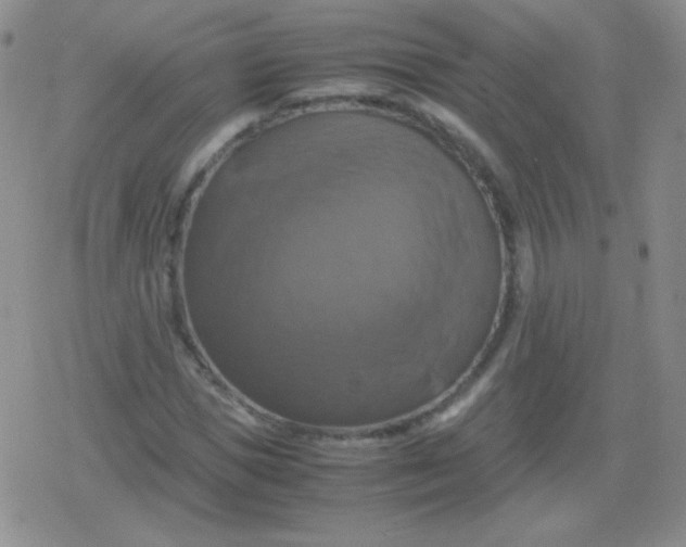 X0000079320921200612081930