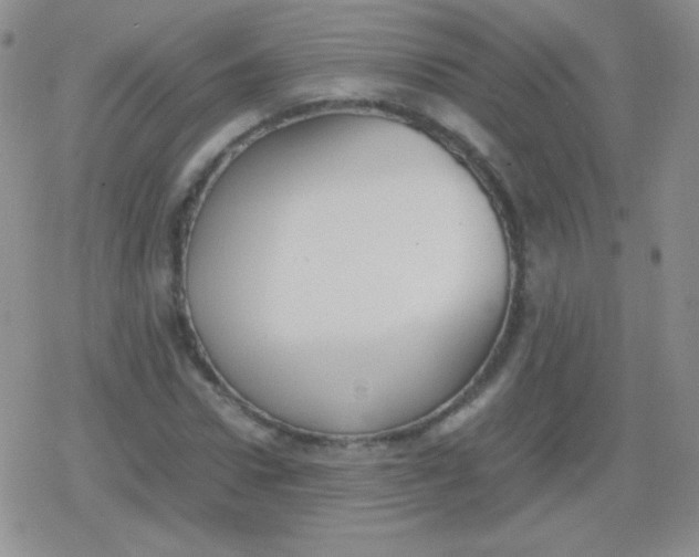 X0000079320922200612081930