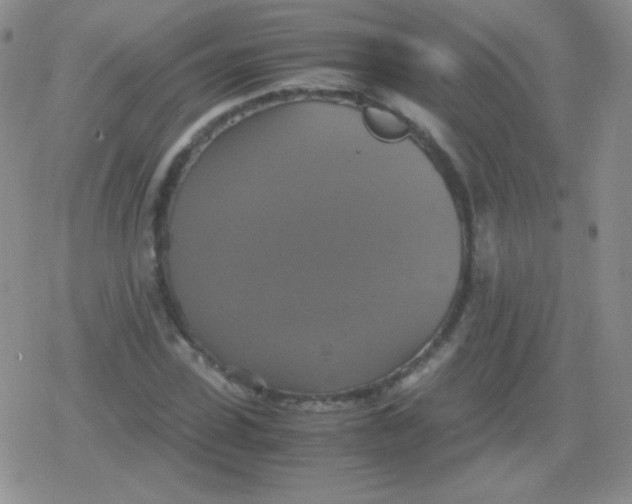 X0000079320923200612081930